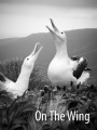 The Albatross - Albatross of the Sub-Antarctic Islands